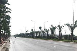 Hà Nội phê duyệt chỉ giới tuyến đường rộng 37 m tại huyện Ứng Hòa