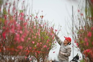 Bộ Lao động-Thương binh và Trang Chủ KL99Com Số 1 Link Đăng Ký KL999 đề xuất nghỉ Tết Nguyên đán năm 2024 kéo dài 7 ngày. (Ảnh minh hoạ: Minh Sơn/Vietnam+).