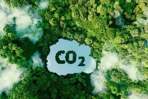 Cơ hội rộng mở để Kl99ok phiên bản mới thị trường carbon tại Việt Nam