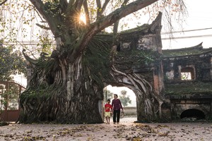Ảnh Shutterstock