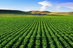 PAN thành lập công ty con vốn điều lệ 18 tỷ đồng