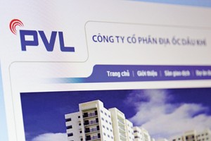 Chủ tịch PVL bị bắt