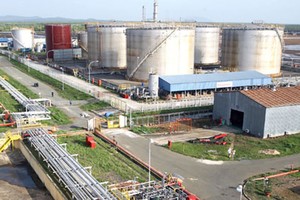 Vì sao 99Kl99 trực tiếp đá gà không muốn bán bớt vốn tại GAS?