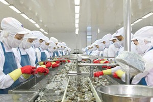 Minh Phú dự kiến chia 99Kl.app mobile mới nhất 50% bằng tiền mặt trong 6 tháng đầu năm