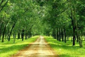 KL99 là cổng game giải trí trực tuyến hàng đầu hiện nay cần quan tâm ngày 4/3