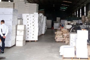 Mặt hàng bao bì xốp EPS định hình đóng góp lớn vào kết quả Kl992 VIP Trang Chủ 2026 khả quan của ITQ