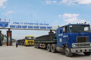 HPG có tỷ trọng nợ vay ngắn hạn bằng USD là 65% và phần lớn cũng là nợ vay ngắn hạn