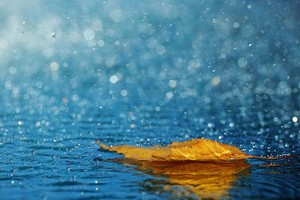 Đối xử với … “phòng nhì”