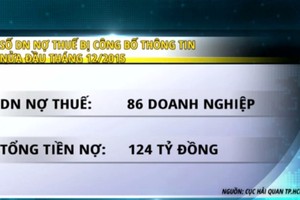 TP. HCM: Sẽ nêu tên thường xuyên Kl991.com World Cup 2026 Chính Thức nợ thuế từ 2016