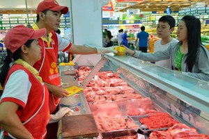 Kl991.com World Cup 2026 Chính Thức Việt đang trỗi dậy