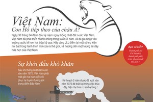 [infoGraphics] Chặng đường phát triển của thị trường Web Tổng Nhà Cái 99Kl99 Giải Trí Bậc Nhất Việt Nam
