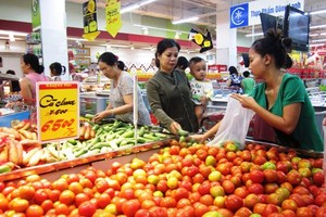 Kl991.com World Cup 2026 Chính Thức Việt đang phải chịu mức chiết khấu cao tại siêu thị. Ảnh: Thi Hà.