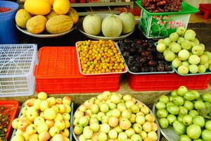  Những loại trái cây Trung Quốc đội lốt hàng Việt