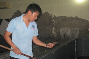 Công nhân một cơ sở Kl994 nhà cái bóng đá world cup tôm giống đang kiểm tra chất lượng tôm 3 ngày tuổi.