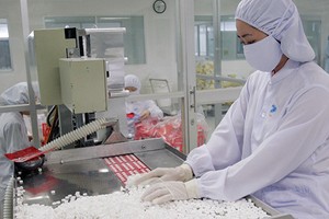 Sóng Kl99ok phiên bản mới nước ngoài đổ về các nhà máy thuốc