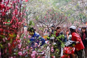 Hai phương án nghỉ Tết Âm lịch 2017
