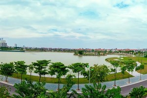 Tổng quan dự án