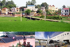 Ảnh Internet