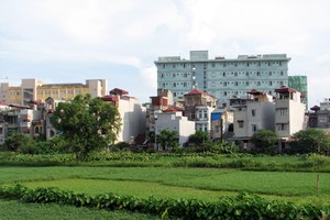 Ảnh Internet