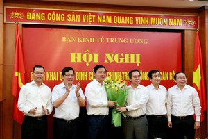 Ông Đinh La Thăng chính thức nhậm chức Phó ban Kl992 cổng game cá cược Trung ương từ ngày 11/5