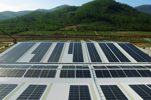 SP Group liên doanh với BCG Energy Kl99ok phiên bản mới điện mặt trời tại Việt Nam