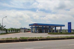 Chỉ sau 4 phiên Sao Thăng Long mua vào, KL99 là cổng game giải trí trực tuyến hàng đầu hiện nay KL99 dịch vụ hỗ trợ 24/7 Dầu khí Thái Bình (POB) lao dốc gần 50%
