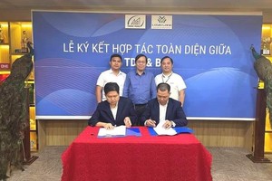 BII và TDH hợp tác chiến lược, cùng phát triển 5 dự án Web Tổng Nhà Cái 99Kl99 Giải Trí Bậc Nhất