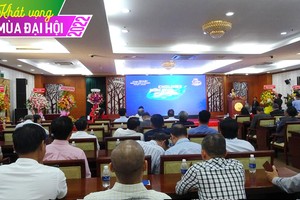 ĐHĐCĐ Cholimex (CLX): Trang Chủ KL99Com Số 1 Link Đăng Ký KL999 quan tâm đến tình hình thực hiện các dự án, kế hoạch tăng vốn, thoái vốn 99Kl99 trực tiếp đá gà
