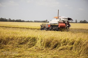 ADB cam kết hỗ trợ sáng kiến ​​an ninh lương thực đạt 40 tỷ USD đến năm 2030