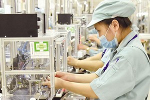 Sau 2 năm chịu ảnh hưởng nghiêm trọng của Covid-19, Kl992 cổng game cá cược Việt Nam bắt đầu quay trở lại quỹ đạo tăng trưởng cũ.