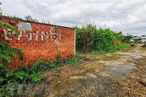 Một thửa đất nông nghiệp được phân lô bán nền ở quận Ninh Kiều, Cần Thơ. 