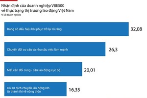 Thị trường lao động Việt Nam: Góc nhìn từ các Kl991.com World Cup 2026 Chính Thức VBE500