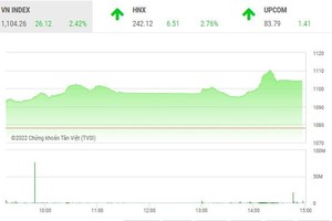 Phiên giao dịch chiều 5/10: Sắc tím nở rộ, VN-Index lấy lại mốc 1.100 điểm 