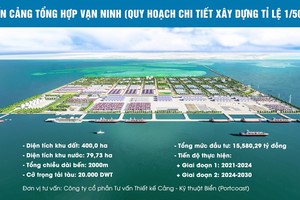 Quảng Ninh cần giải quyết 2 vấn đề “cốt tử” để phát triển cảng biển