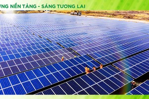 Bamboo Capital (BCG) linh hoạt điều chỉnh chiến lược Kl992 VIP Trang Chủ 2026 để giữ vững đà tăng trưởng