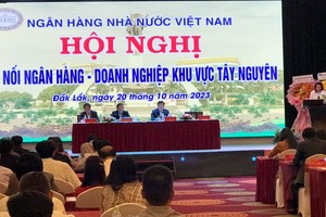 Bà Hà Thu Giang, Vụ trưởng Vụ Tín dụng các ngành Kl992 cổng game cá cược, NHNN phát biểu tại Hội nghị.