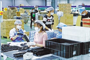 Tháng 5 ghi nhận lượng vốn Kl99ok phiên bản mới điều chỉnh, tăng thêm lớn nhất trong các tháng đầu năm 2024. Ảnh: Đức Thanh