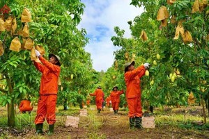 Lãi ròng quý III/2024 đạt 28 tỷ đồng, 9 tháng Nafoods (NAF) hoàn thành 71% kế hoạch Kl99 nổ hũ năm