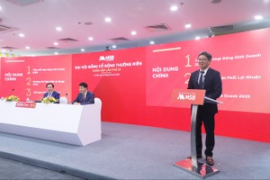 Đại hội đồng Trang Chủ KL99Com Số 1 Link Đăng Ký KL999 năm 2025 MSB: Thoái vốn tại TNEX Finance và góp vốn/mua cổ phần công ty 99Kl99 link đăng nhập, công ty quản lý quỹ