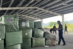 Hải quan kiểm tra hàng hóa quá cảnh Việt Nam. 