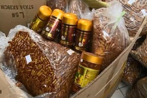 đơn vị Link Vào Nhà Cái KL99 COM Tặng +199k độc quyền và phân phối sản phẩm sữa ong chúa nhãn hiệu Royal Jelly Costar 1.450mg khẳng định, số sữa ong chúa bị thu giữ là hàng giả (Ảnh min họa)