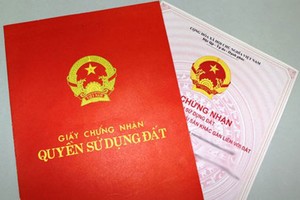 Ảnh Internet