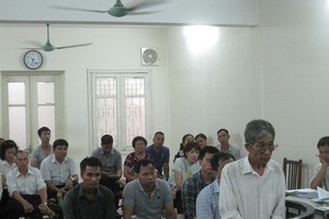 Tổng giám đốc phá vườn cây của người khác để xây biệt thự lĩnh án 4 năm tù