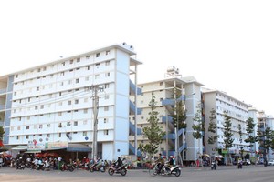 Ảnh minh họa
