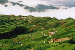 Ảnh Internet