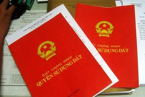 Ảnh Internet
