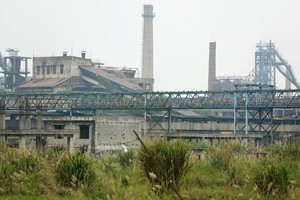Ảnh Internet