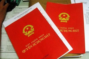 Ảnh Internet