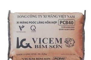 Ảnh Internet