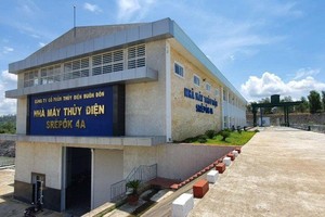 Ảnh Internet